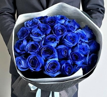 30 blue roses